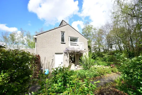 Bieslook - Oisterwijk