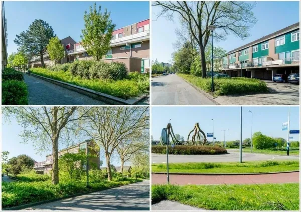 Boogschutter - Hoorn