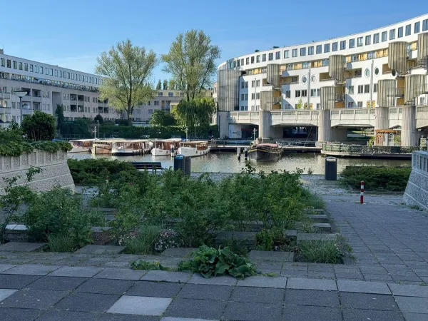 Borneolaan - Amsterdam