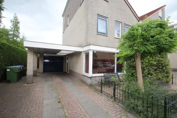 Braamspinner - Meppel