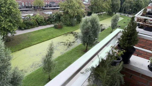 Burghsluissingel - Rotterdam