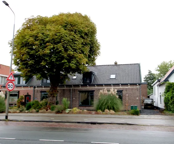 Delfweg - Noordwijkerhout