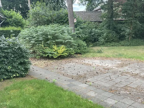 Diependaalse Drift - Hilversum
