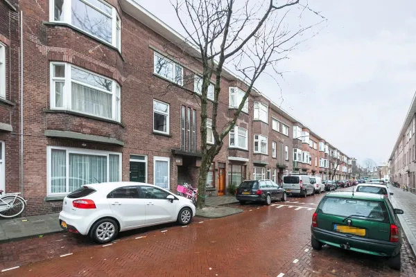 Drijfriemstraat - Den Haag