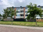 Faleriolaan - Hillegom