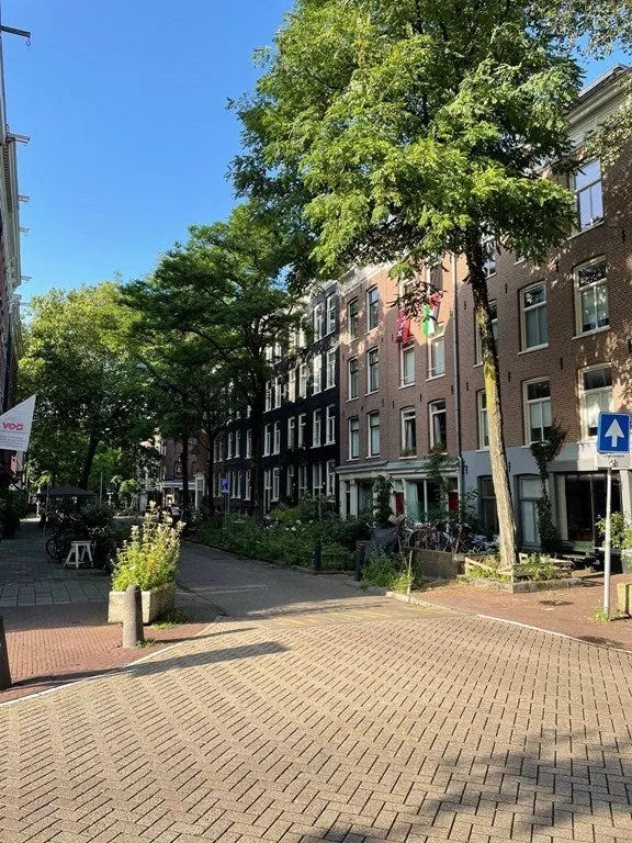 Frans Halsstraat - Amsterdam