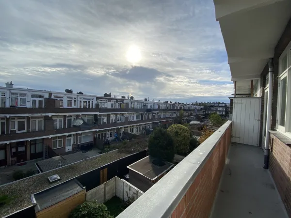 Goeverneurlaan - Den Haag