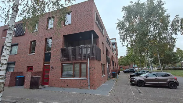 Grashoen - Eindhoven