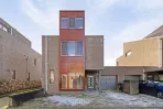 Grasparkiet - Eindhoven