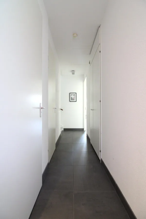 Grasplant - Eindhoven