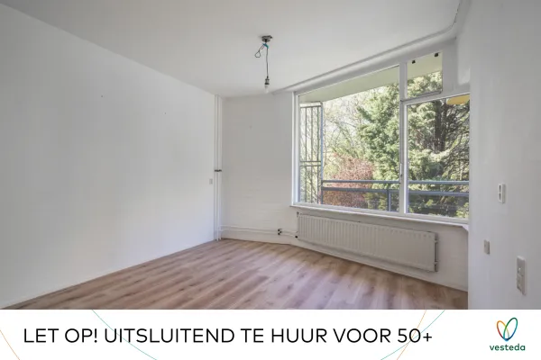 Hilvoordestraat - Rijswijk
