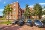 Hongarijehof - Almere