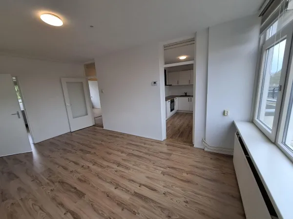 Jacob van Ruysdaelstraat - Almelo