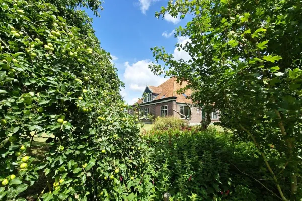 Jisperweg - Westbeemster