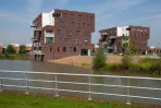 Juno - Elst