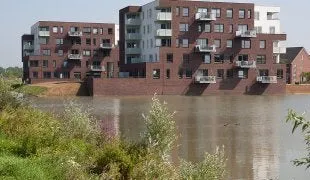 Juno - Elst