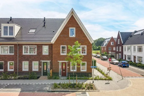 Knobbelzwaan - Uithoorn