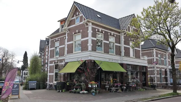Koninginnelaan - Apeldoorn