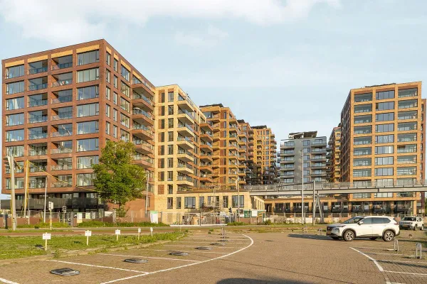 Mahoniehout - Zaandam