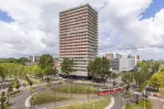Martinus Nijhofflaan - Delft