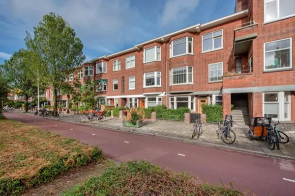 Mient - Den Haag