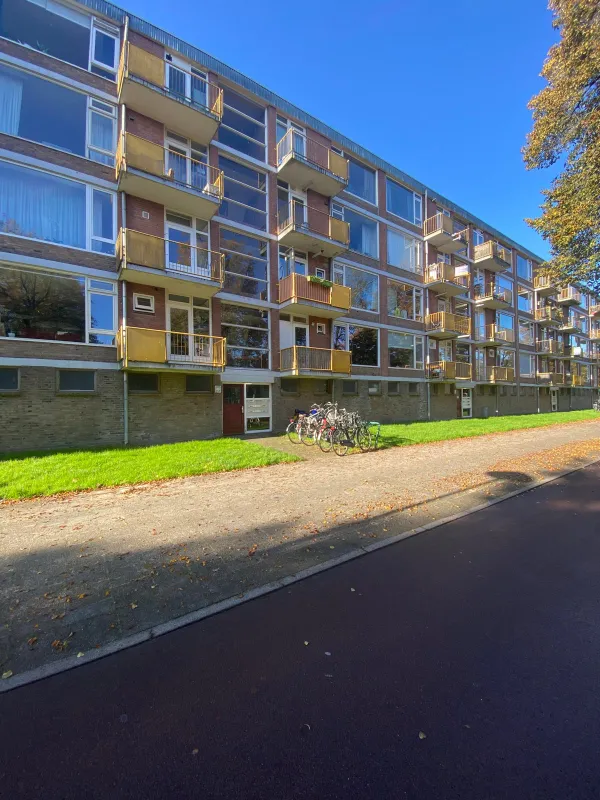 Moezeldreef - Utrecht