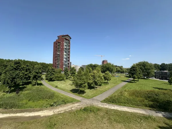 Nancy Zeelenbergsingel - Rotterdam