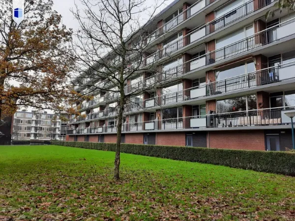 Narcissenlaan - Oegstgeest