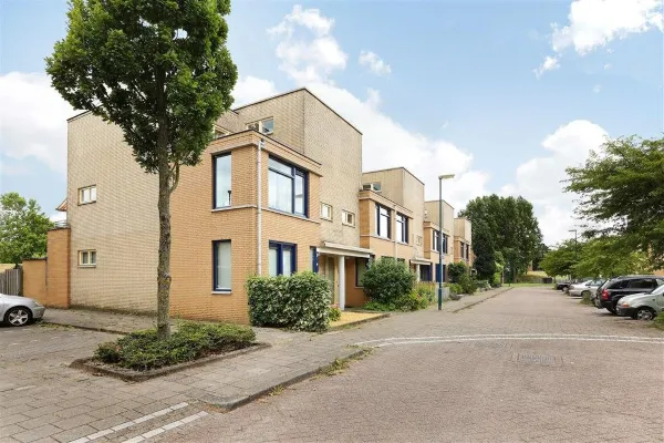 Palmhout - Zoetermeer