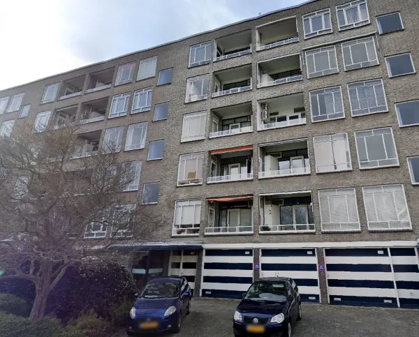 Parelmoerhorst - Den Haag