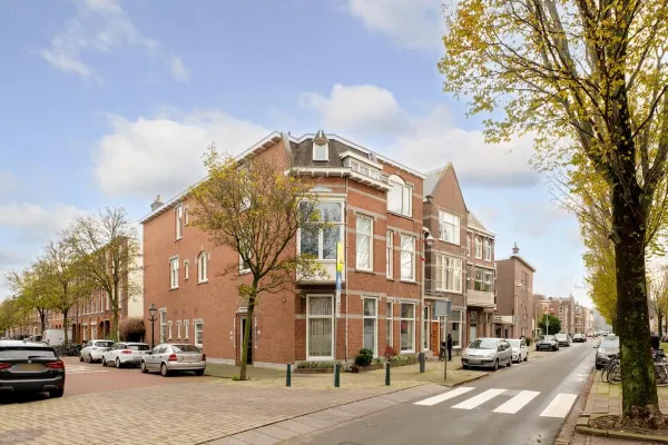 Paulus Buijsstraat - Den Haag