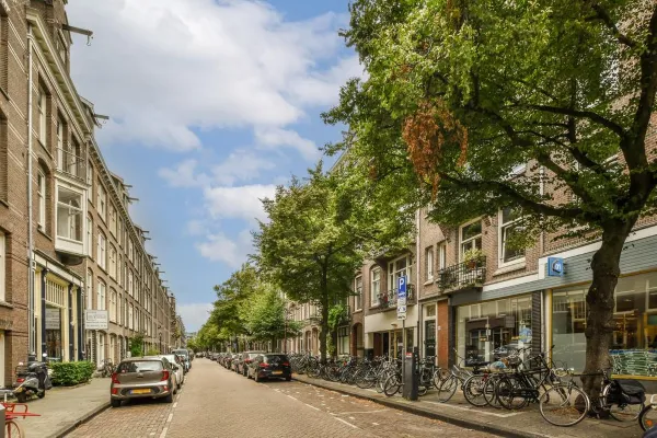 Pieter Aertszstraat - Amsterdam