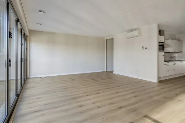 Purperhoedenveem - Amsterdam