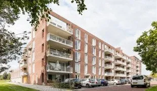 Rijzertlaan - Den Bosch