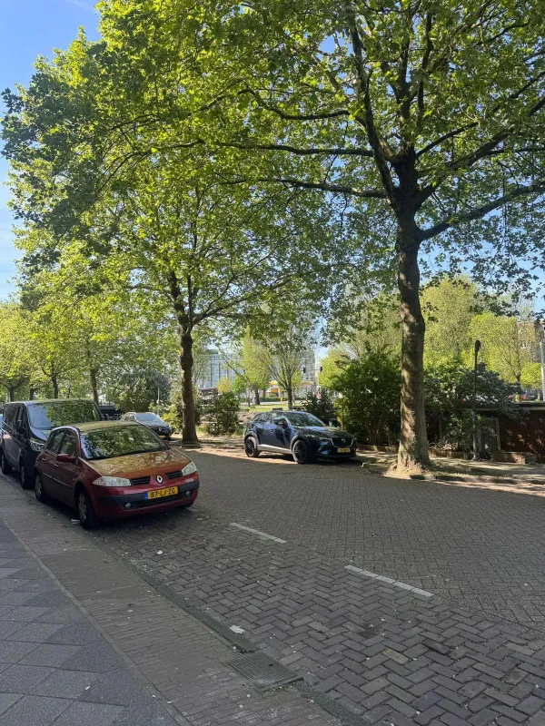 Rustenburgerstraat - Amsterdam