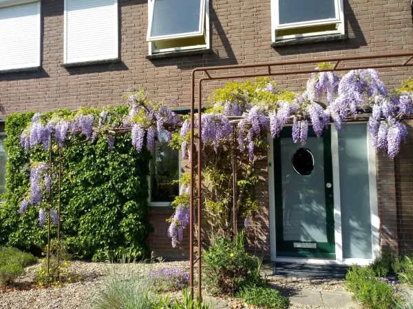 Steenheuvelsestraat - Leuth