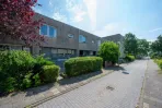 Struikroospad - Almere