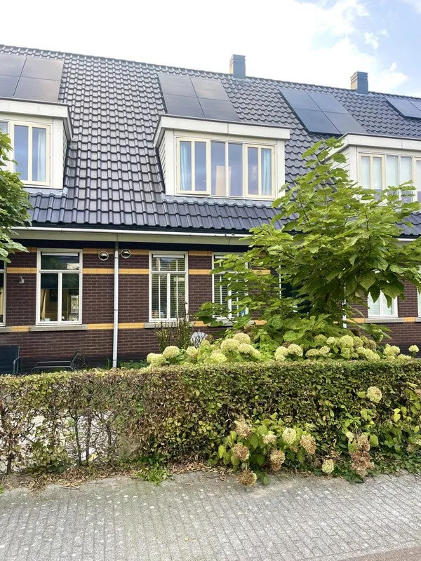 Tafelbergerhout - Harderwijk