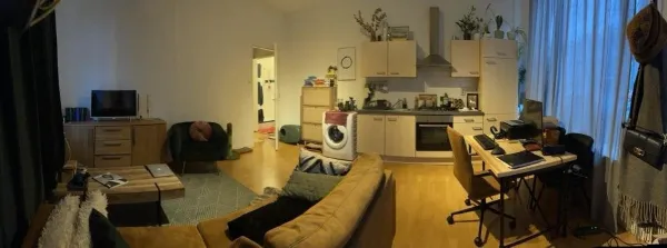 Teijlerstraat - Den Haag