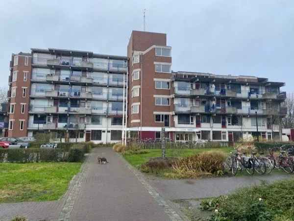 Trosdravik - Leeuwarden