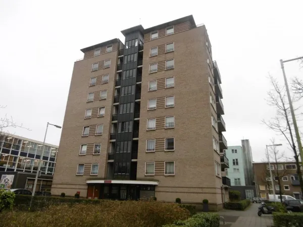 Veldzicht - Amsterdam