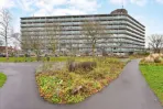 Vogelweide - Amersfoort