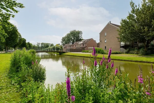 Wiardapad - Rotterdam