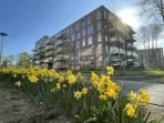 Winklerlaan - Utrecht