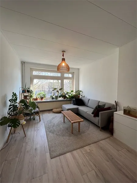 Baljuwplein - Rotterdam
